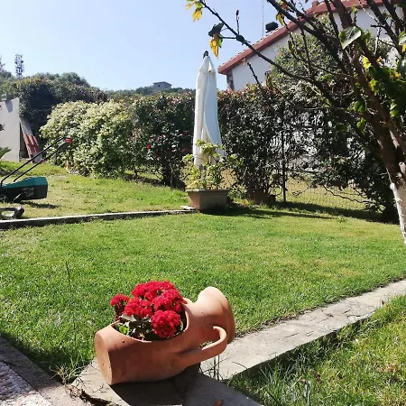 Villino Veronica Holiday home